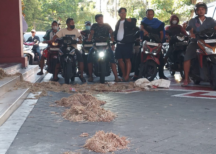Massa Seniman Surabaya Hujani Gedung Dewan dengan Kotoran Ayam