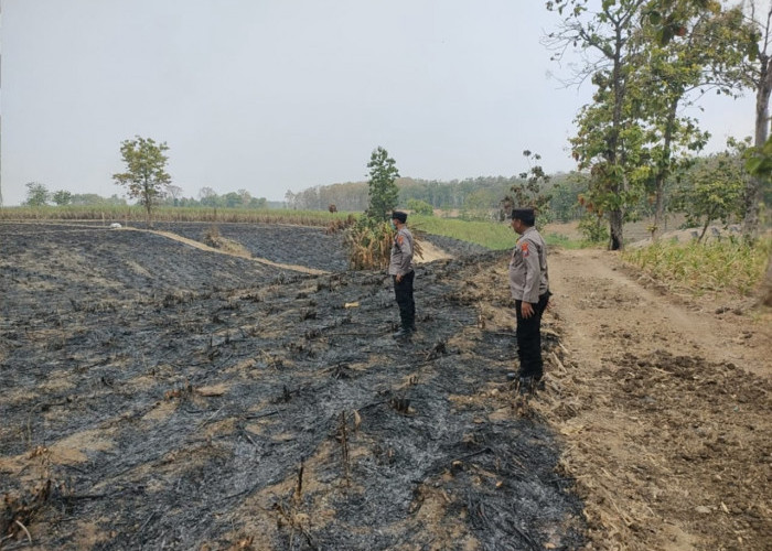 Polisi Ngawi Gerak Cepat Cek Hotspot Satelit, Pastikan Kebakaran Lahan di Pitu Sudah Padam