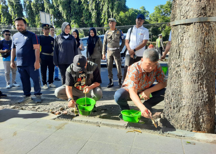 Sambut Harjakasi ke-208, Mas Rio Ajak Warga Bersolek Lewat 'Situbondo Adenden' Demi Pikat Wisatawan Ke Bali