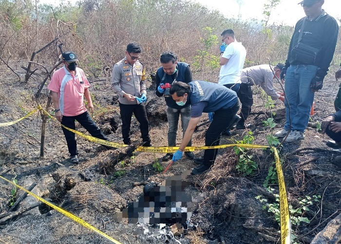 Geger Lamongan! Kerangka Manusia Hangus Ditemukan di Hutan Tebu, Identitas Korban Misterius