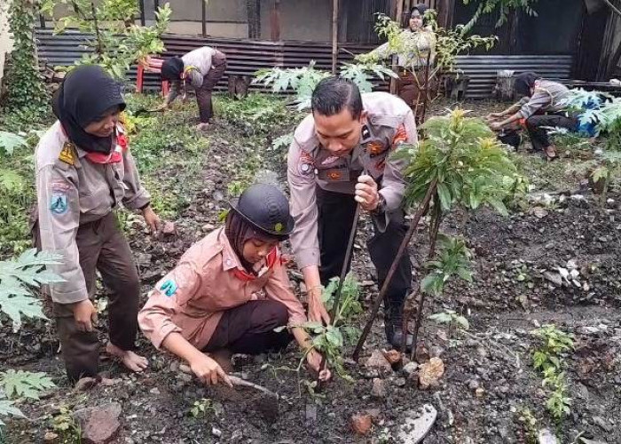 Dukung Ketahanan Pangan: Polsek Padangan dan Saka Bhayangkara Manfaatkan Pekarangan Kosong