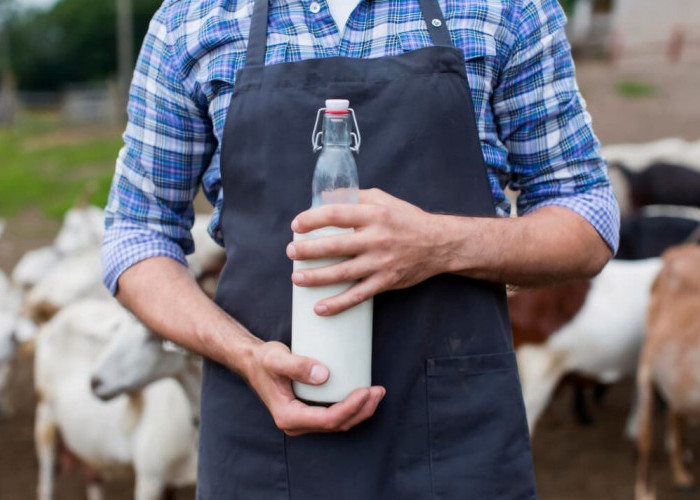 Milkman dan Jejak Distribusi Pangan dari Masa Lalu ke Modern