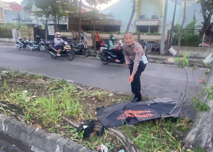 Tabrak Pembatas Jalan Raya Satelit Indah, Pengendara RX-King Tewas