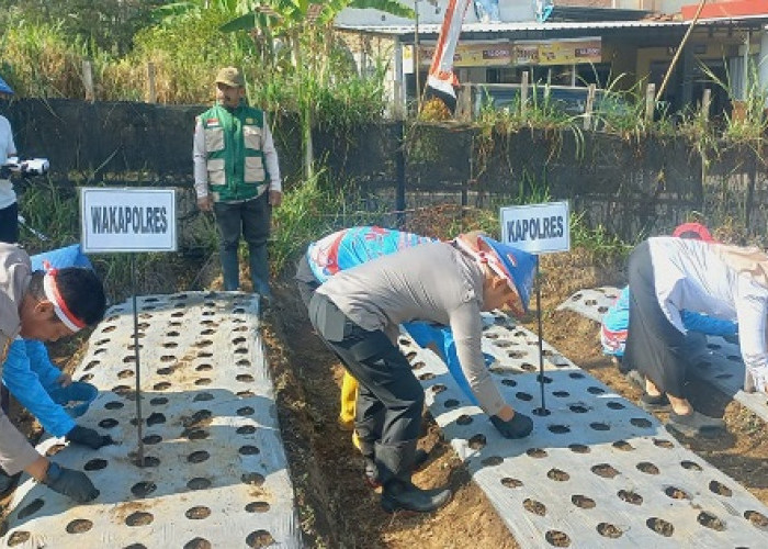 Polres Pasuruan Tanam Bawang Putih Serentak di Tlogosari Dukung Swasembada Pangan