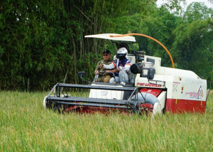 Jelang Idulfitri, Bulog Jatim Salurkan 42 Ribu Ton Beras dan 9 Juta Liter Minyak Kita