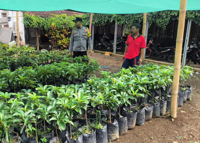Polsek Sine Ajak Warga Manfaatkan Pekarangan Bergizi, Dukung Ketahanan Pangan Nasional di Ngawi 