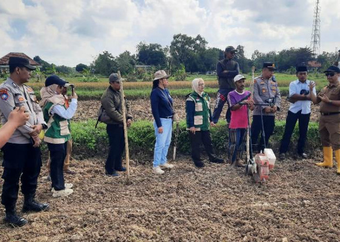 Tebar Bibit Jagung Hibrida, Polsek Blega Bersama Lintas Sektor Edukasi Petani Desa Lomaer