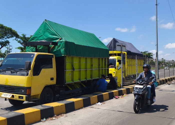 Dampak Pencurian Besi Pelindung Tiang Pancang, Sopir Truk Keluhkan Jembatan Suramadu Tak Stabil