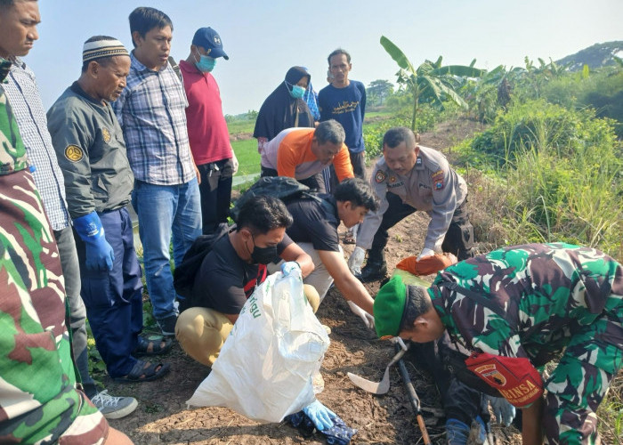 Nahas, Pria Bojonegoro Tewas Tersengat Listrik Jebakan Tikus di Balongpanggang