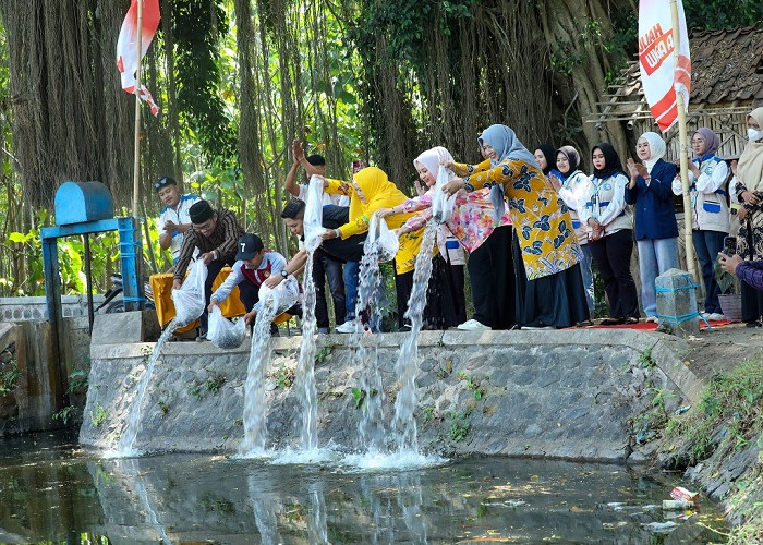  15 Ribu Bibit Ikan Ditebar di Lumajang, Dewi Natalia Dorong Kelestarian Rowosumo