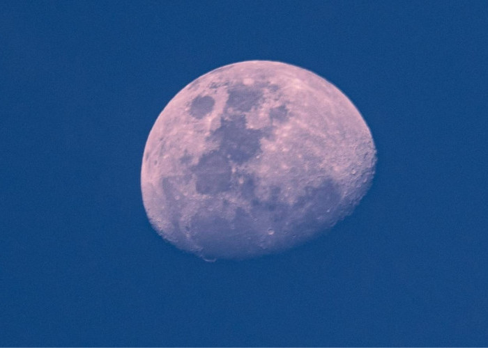 Mengapa Bulan Purnama 1 April 2026 Disebut Pink Moon? Cek Mitos dan Faktanya