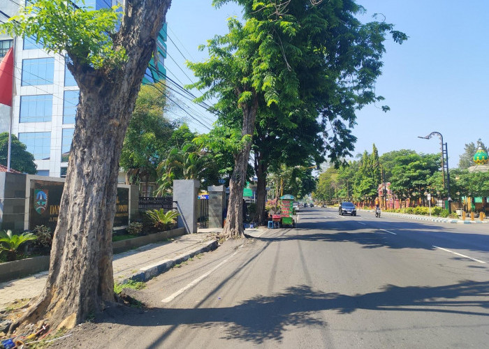 Trotoar Jalan Gus Dur Jombang Siap Dipoles, Proyek Rp1,1 Miliar Segera Dilelang