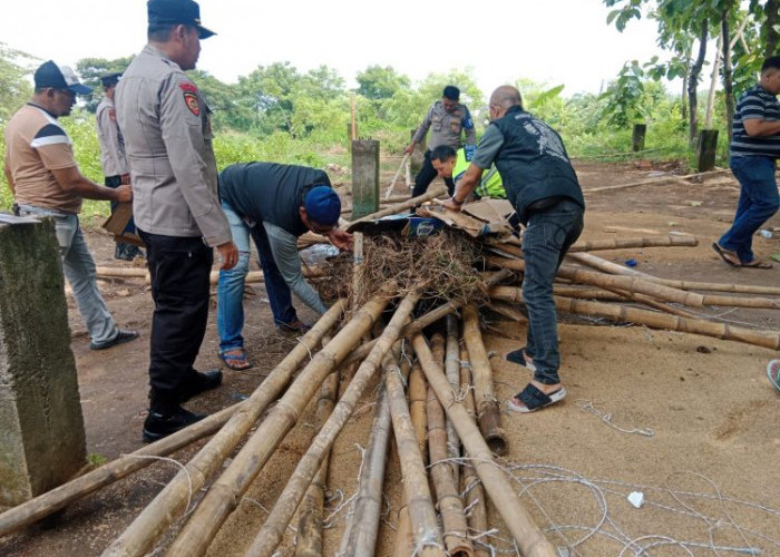 Polisi Bongkar Arena Judi Sabung Ayam di Lolawang Mojokerto