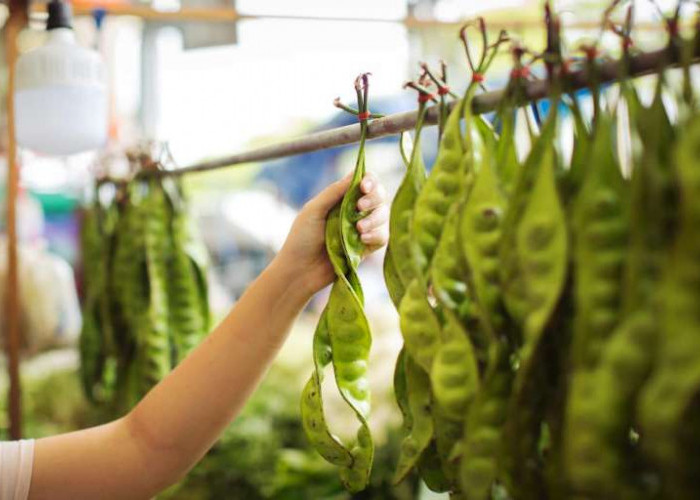 Alasan Petai Bau Menyengat dan Dampaknya bagi Tubuh