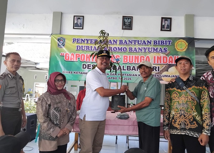 DKPP Lumajang Salurkan 1.018 Bibit Durian Bawor kepada Warga Desa Tegalbangsri Ranuyoso