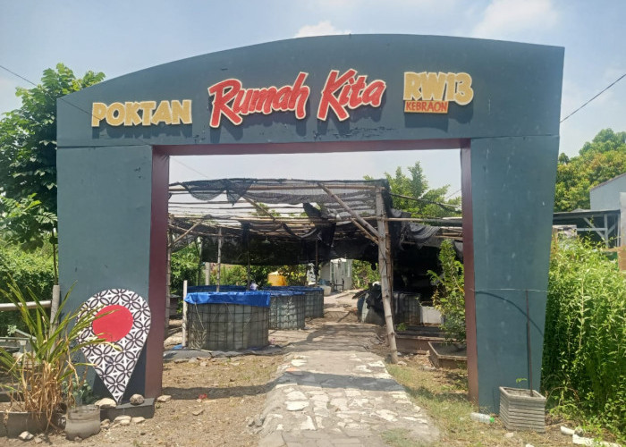 Poktan Rumah Kita, Solusi Pertanian Organik dan Peternakan Modern