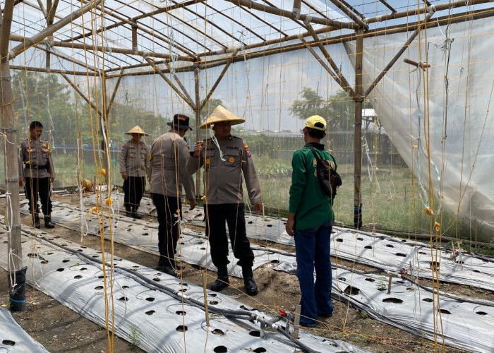 Lahan di Balongbendo Sidoarjo Disiapkan untuk Dukung Program Ketahanan Pangan Nasional