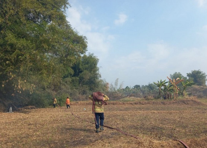 Pemkab Gresik Tetapkan Status Siaga Kekeringan dan Kebakaran, 5 Truk Air Bersih Disiagakan