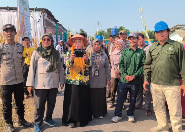 Petani Jagung Sambisirah Wonorejo Mulai Dikenalkan Drone dan Mesin Combine Harvester