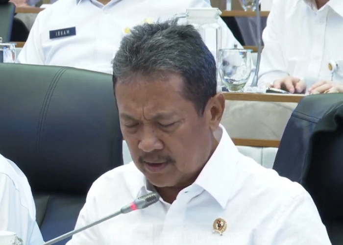 Produksi Kelautan dan Perikanan RI Tumbuh 3,8 Persen, Capai 26,25 Juta Ton pada 2025 