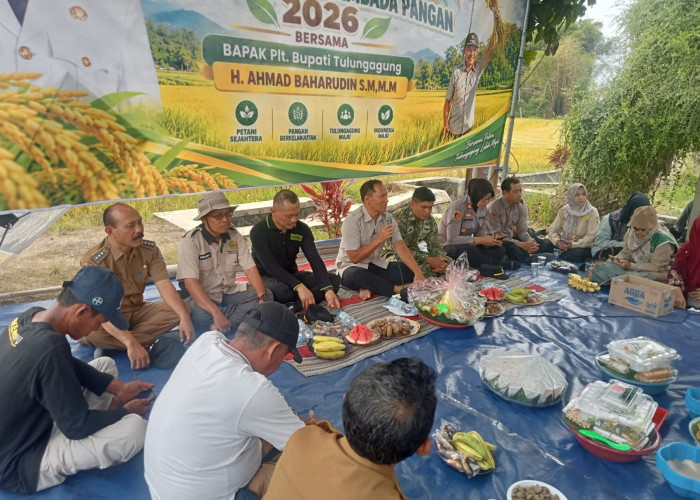 Panen Raya 34 Masa Tanam Kedua, Stok Beras Tulungagung Surplus hingga 10 Bulan
