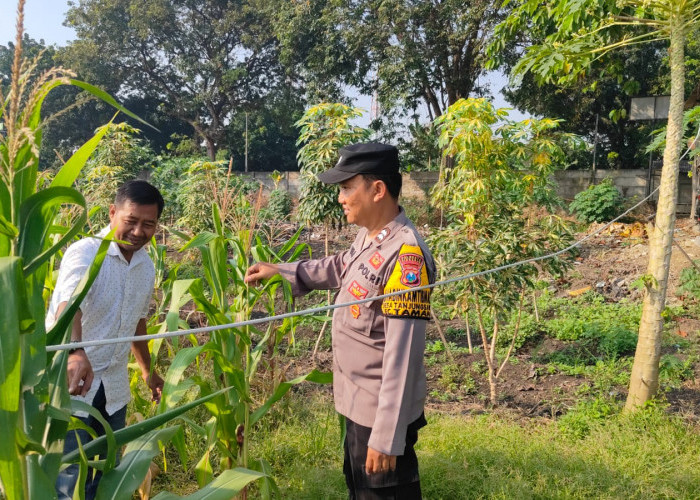 Polisi Ikut Tanam Jagung Bersama Warga Tanjungsari