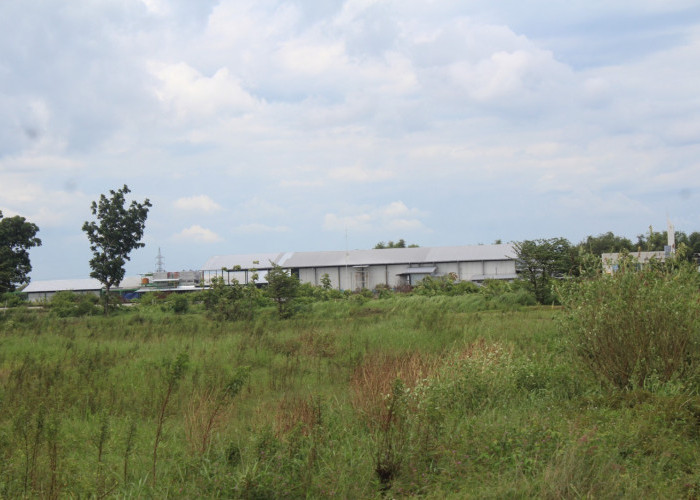 Aset Rp 22 Miliar Menganggur, Peruntukan Lahan di Denanyar Tak Jelas