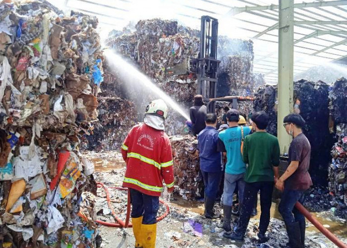 Forklift Meledak di Pabrik Kertas Pasuruan, Api Lahap Gudang Produksi