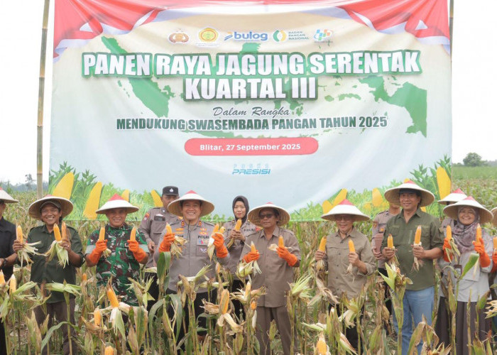 Polres Blitar Gelar Panen Raya Jagung Serentak Kuartal III, Bukti Sinergi Lintas Sektor untuk Ketahanan Pangan