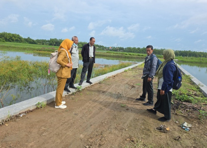 Banjir Rendam Ratusan Hektare Sawah, DPRD Jombang Dorong Evaluasi Pabrik di Ploso