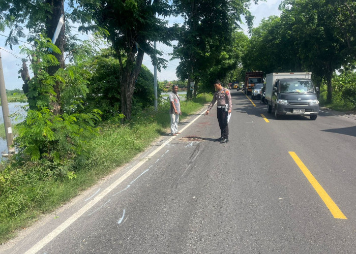 Kecelakaan di Bungah Gresik, Pengendara Motor Tewas Terlindas Truk