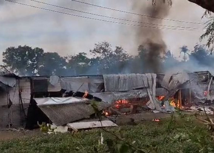 Kebakaran Hebat Landa Kandang Ayam di Semboro, Ribuan Ekor Ayam Hangus