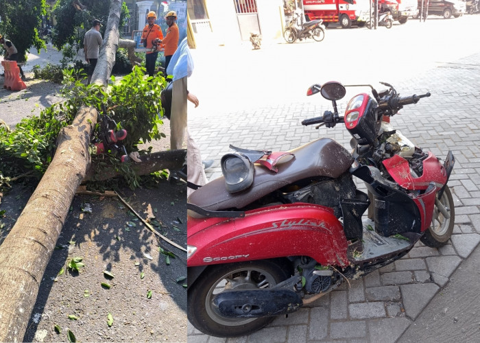 Apes, Pengendara Motor Kelenger Usai Tertimpa Pohon Beringin di Alun-Alun Kota Blitar