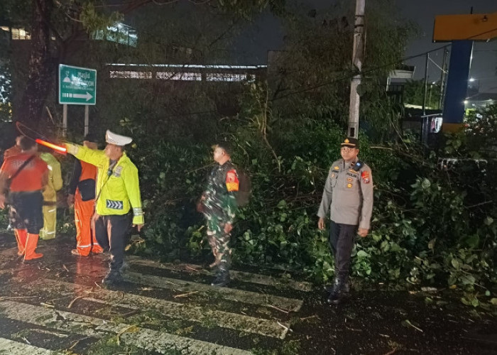 Kapolsek Tenggilis Mejoyo Pimpin Evakuasi  Pohon Tumbang di Kendangsari Industri, Satu Korban Luka