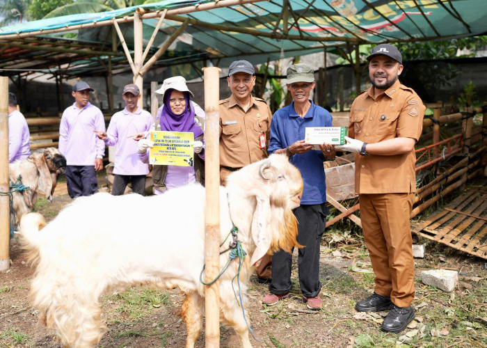 Pemkot Batu Adakan Uji Sehat dan Layak pada Hewan Kurban