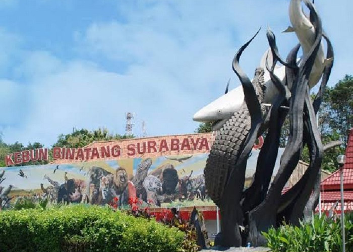 Penyidikan Mengerucut, Kejati Jatim Segera Tetapkan Tersangka Korupsi KBS