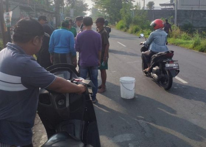 Bertabrakan di Jalur Black Spot Cerme Gresik, Dua Pengendara Motor Luka Berat