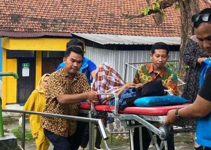 Dinsos Jatim Fasilitasi Pemulangan Lansia Terlantar Asal Ngawi dari Palopo