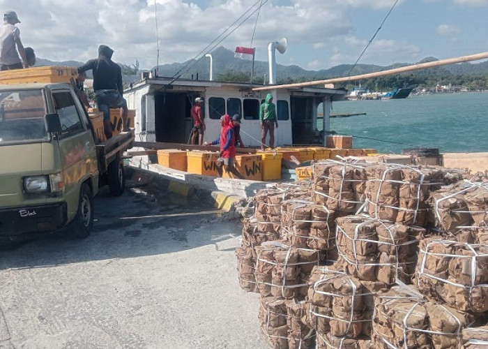 Berlayar dari Bawean ke Lamongan, KLM Ayta CK2 Dilaporkan Hilang Kontak di Laut