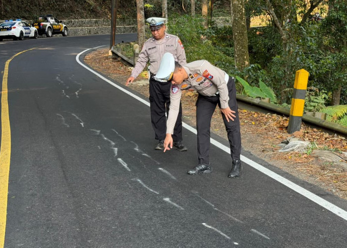 Retakan Tanah 40 Meter di Jalur Gumitir Jember, Ancaman Longsor Mengintai