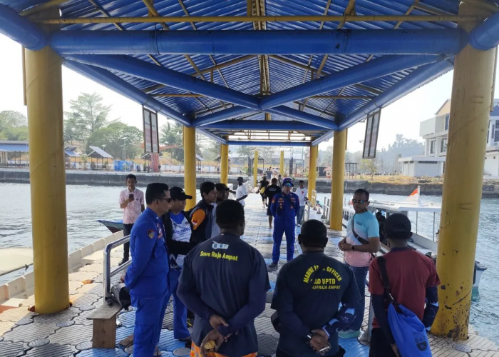 Polisi Dalami Dugaan Perburuan Penyu Sisik oleh WNA Tiongkok di Raja Ampat