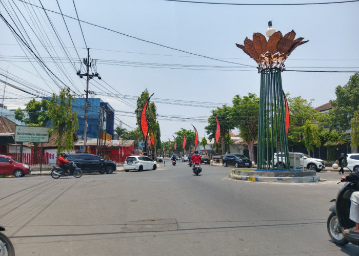 Harapan Baru UMKM Jember, Wajah Malam Jalan Kartini Siap Menjelma Jadi Pusat Kuliner Tematik