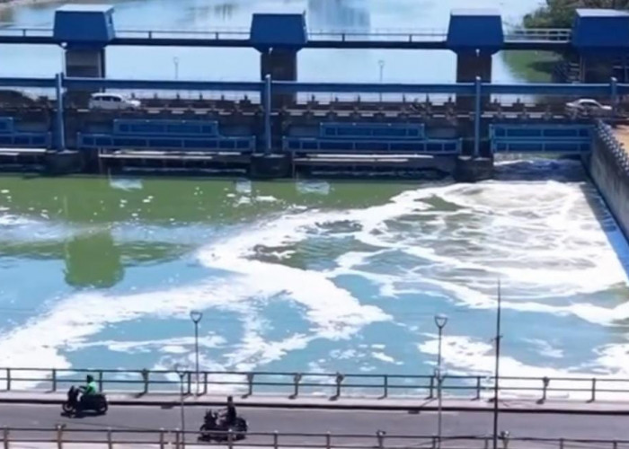 Sungai Berbusa Pascakebakaran, DLH Jatim Awasi Pemulihan Kali Surabaya