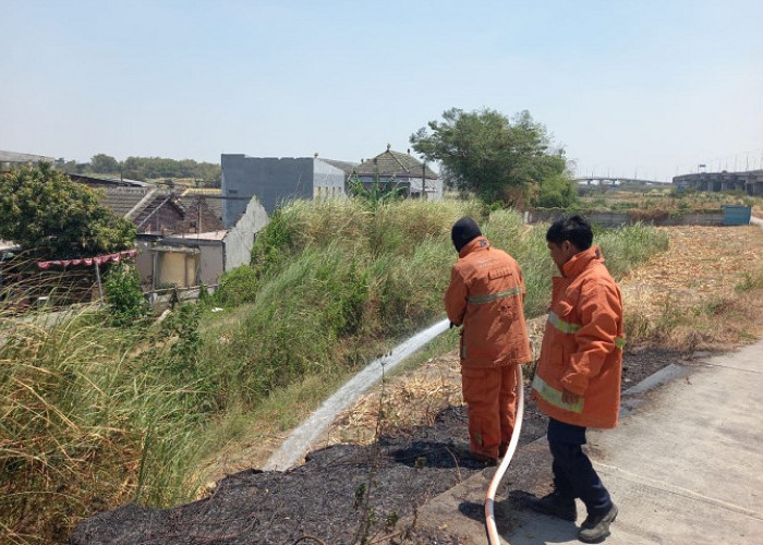 Petugas Damkar Gresik Diduga Pungut Warga Biaya Pemadaman Kebakaran Lahan, Wabup: Gratis