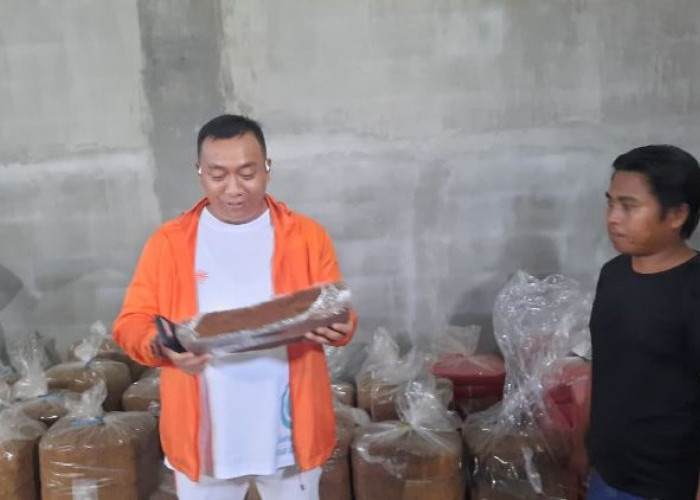 Mas Rio Dorong Pengembangan Tembakau Tambheng sebagai Identitas Lokal Situbondo