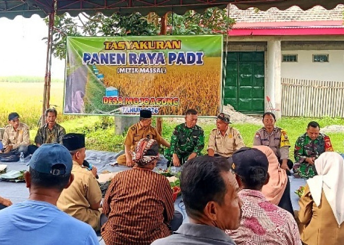Tasyakuran Panen Raya Padi di Tulungagung, Poktan Mojoagung Gelar Tumpengan Massal