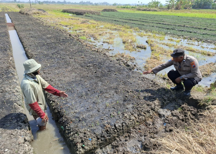 Polisi Bersama Warga Simoketawang Wonoayu Siapkan Lahan Tanam Padi