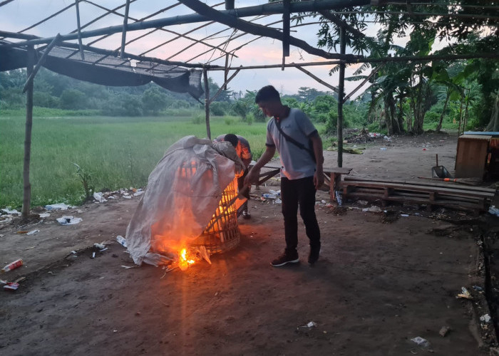 Arena Judi Sabung Ayam Jabon Sidoarjo Dibakar