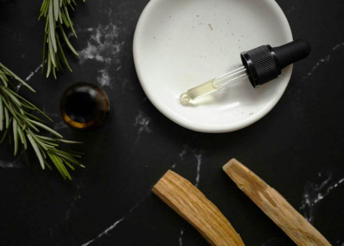 Manfaat Rosemary untuk Menumbuhkan Rambut Baru dan Mengurangi Pitak