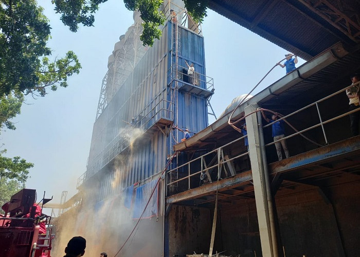 Mesin Blower Terganjal Serbuk Kayu, Area Produksi Pabrik di Driyorejo Gresik Terbakar